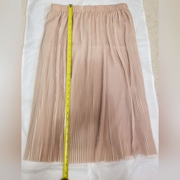 Zara Pleaded Skirt - Picture 5 of 8